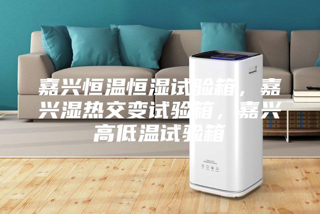 嘉興恒溫恒濕試驗(yàn)箱，嘉興濕熱交變?cè)囼?yàn)箱，嘉興高低溫試驗(yàn)箱