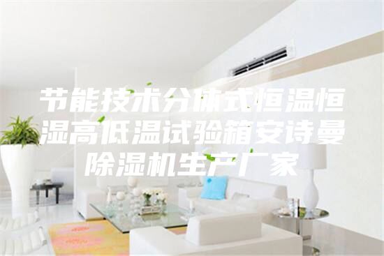 節(jié)能技術分體式恒溫恒濕高低溫試驗箱安詩曼除濕機生產廠家