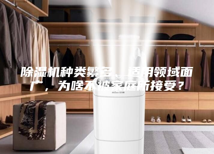 除濕機種類繁多、適用領域面廣，為啥不被家庭所接受？