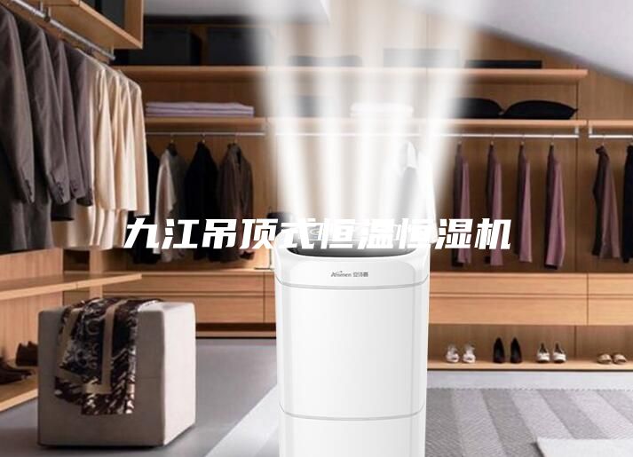 九江吊頂式恒溫恒濕機