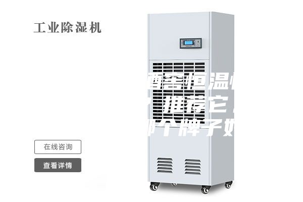 你知道進(jìn)口酒窖恒溫恒濕機(jī)的品牌嗎？推薦它。恒溫恒濕機(jī)哪個(gè)牌子好？